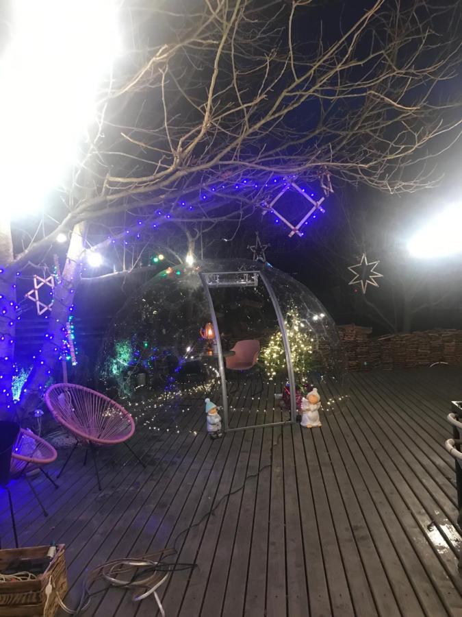 Guest House Anastasia Tatariv Εξωτερικό φωτογραφία
