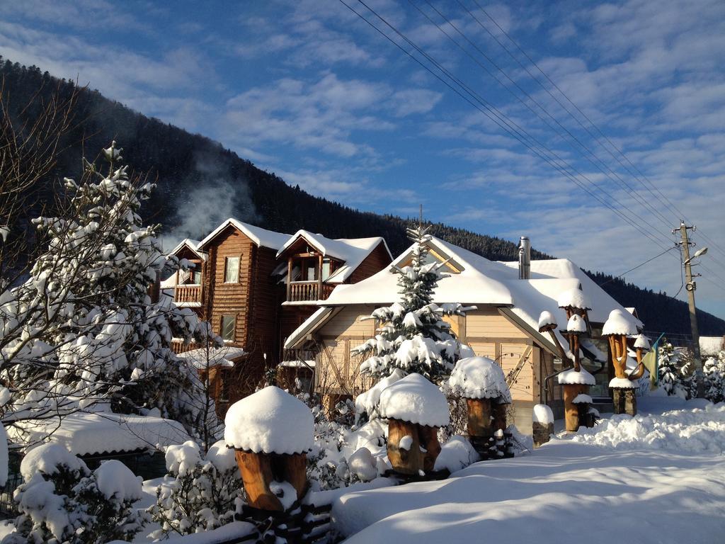 Guest House Anastasia Tatariv Εξωτερικό φωτογραφία